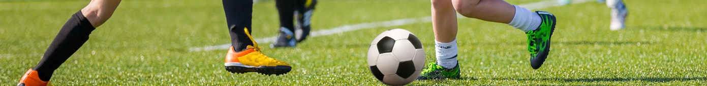 Southwest Florida Soccer Association | devoted to competitive local soccer